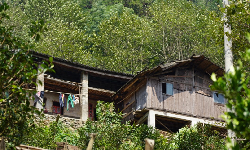 王青松:从北大硕士到深山隐居,探寻简单生活的真谛