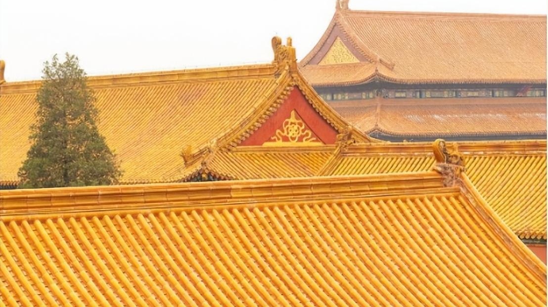 故宫上面为什么没有鸟屎 故宫上面为什么没有鸟屎