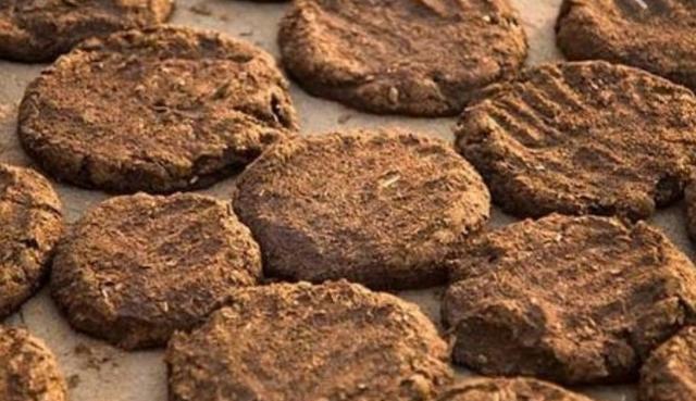 一盒205元!印度"牛粪饼"经常卖到脱销,究竟有什么用处?
