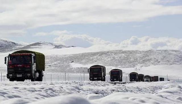 川藏线上汽车兵夜宿兵站,两只藏獒表现反常,战士:要死人了