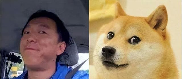 10位撞脸动物的明星,王一博还能忍,看到易烊千玺:简直是神似