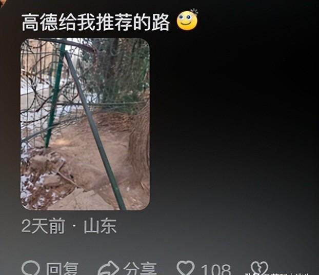 终于知道高德为啥被称作"缺德地图"了!网友分享一针见血,笑喷
