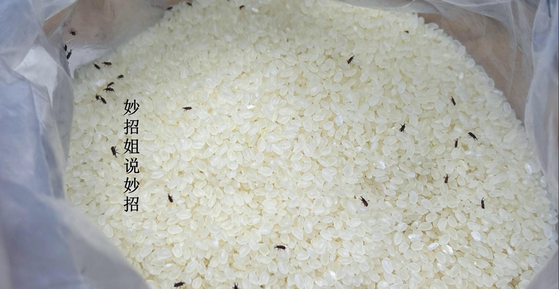 大米在我们日常生活中扮演着重要角色,几乎是每个家庭餐桌上必不可少