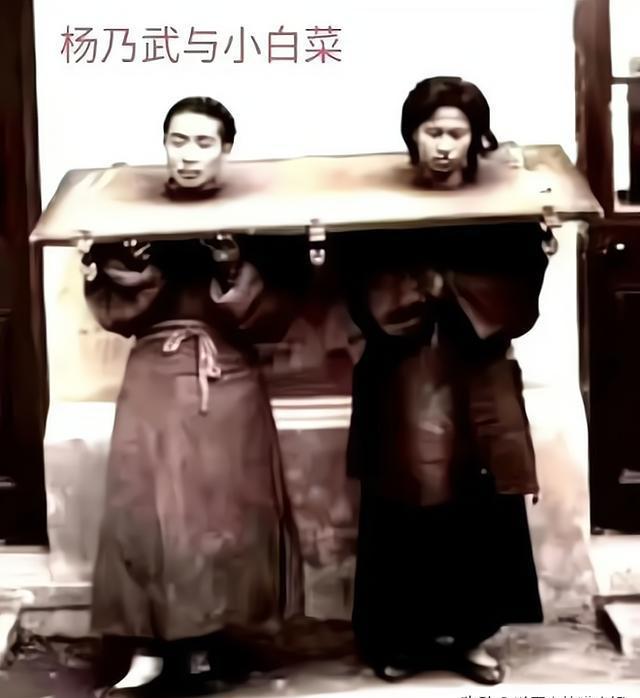 140多年前,杨乃武与小白菜受尽冤屈,被英国记者拍下他们的真容