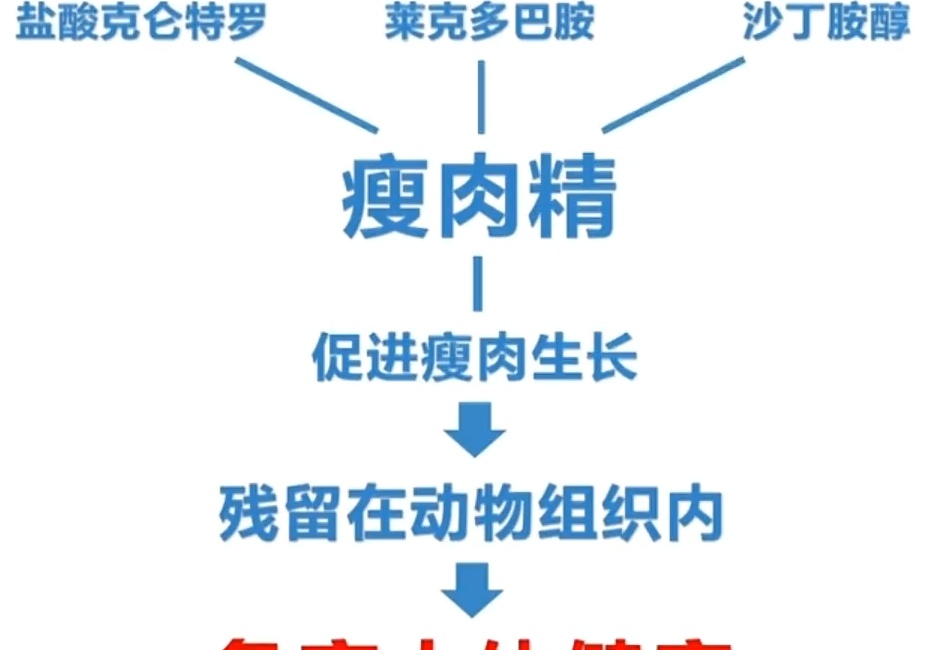 他发明瘦肉精,初衷为报答妻,结局震惊全国