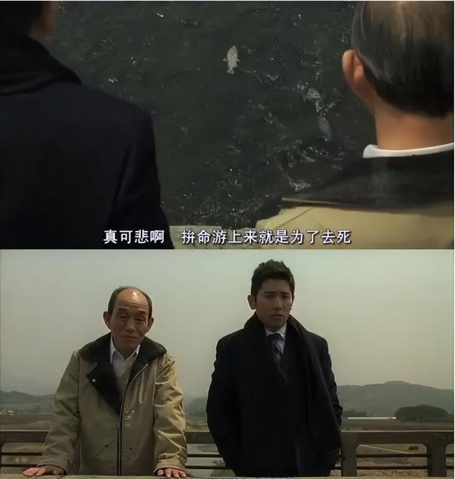 电影入殓师影评题目