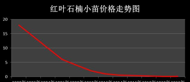 红叶石楠苗能长多高