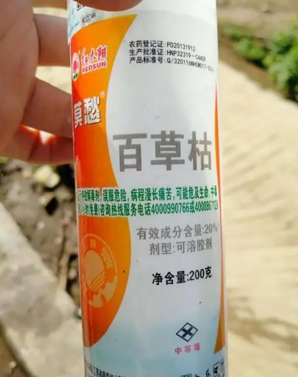 喝过百草枯的几乎无一生还!发明它的人知道百草枯没有解药吗?