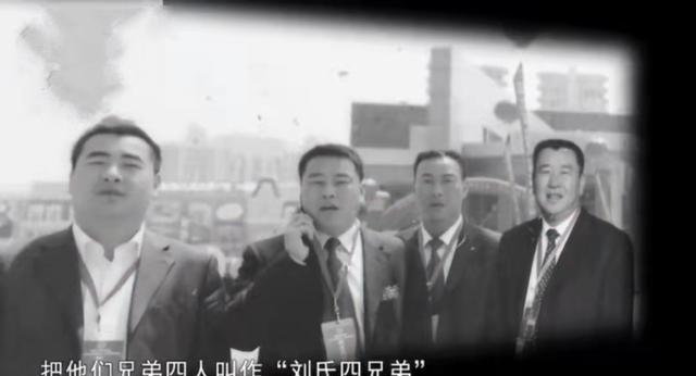 起底安徽"刘氏兄弟":非法采矿,挖人祖坟,残害百姓,称霸一方