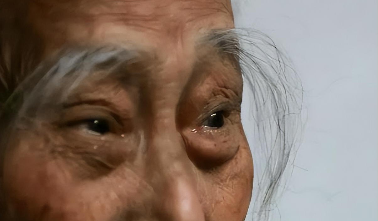 眉毛一根长,胜过万担粮?揭秘长寿眉的玄机与寓意