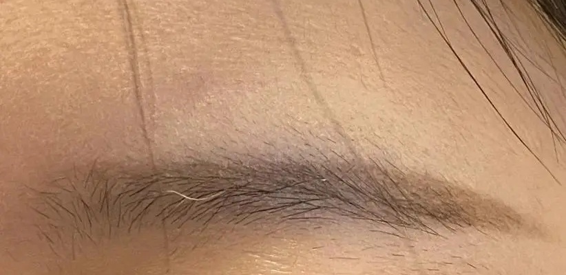 眉毛一根长,胜过万担粮?揭秘长寿眉的玄机与寓意