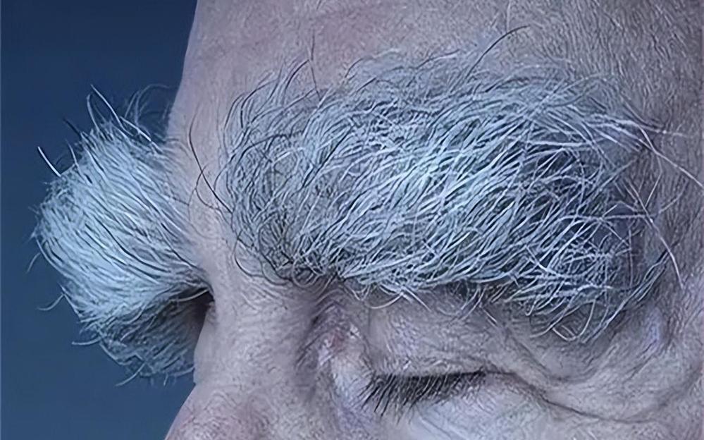 眉毛一根长,胜过万担粮?揭秘长寿眉的玄机与寓意