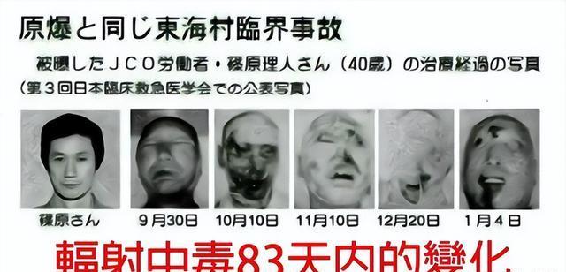 核辐射只对人有影响?切尔诺贝利已成动物天堂,它们不怕核辐射吗