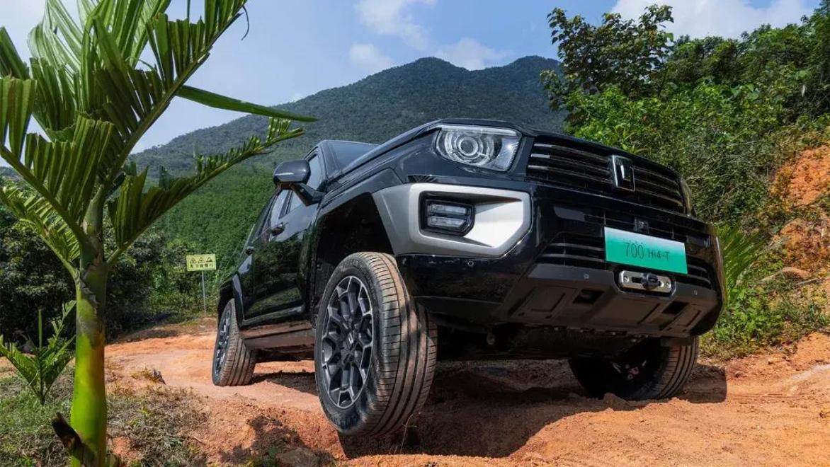 700元3小时不限次数品茶广州:一场舌尖与时间的博弈