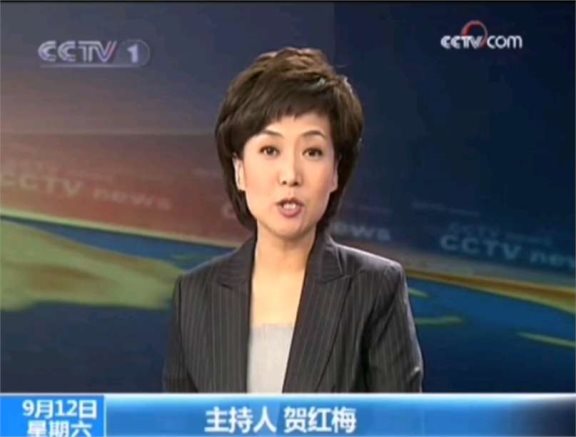 中央新闻联播主持人康辉的妻子(中央新闻联播主持人康辉多大岁数)
