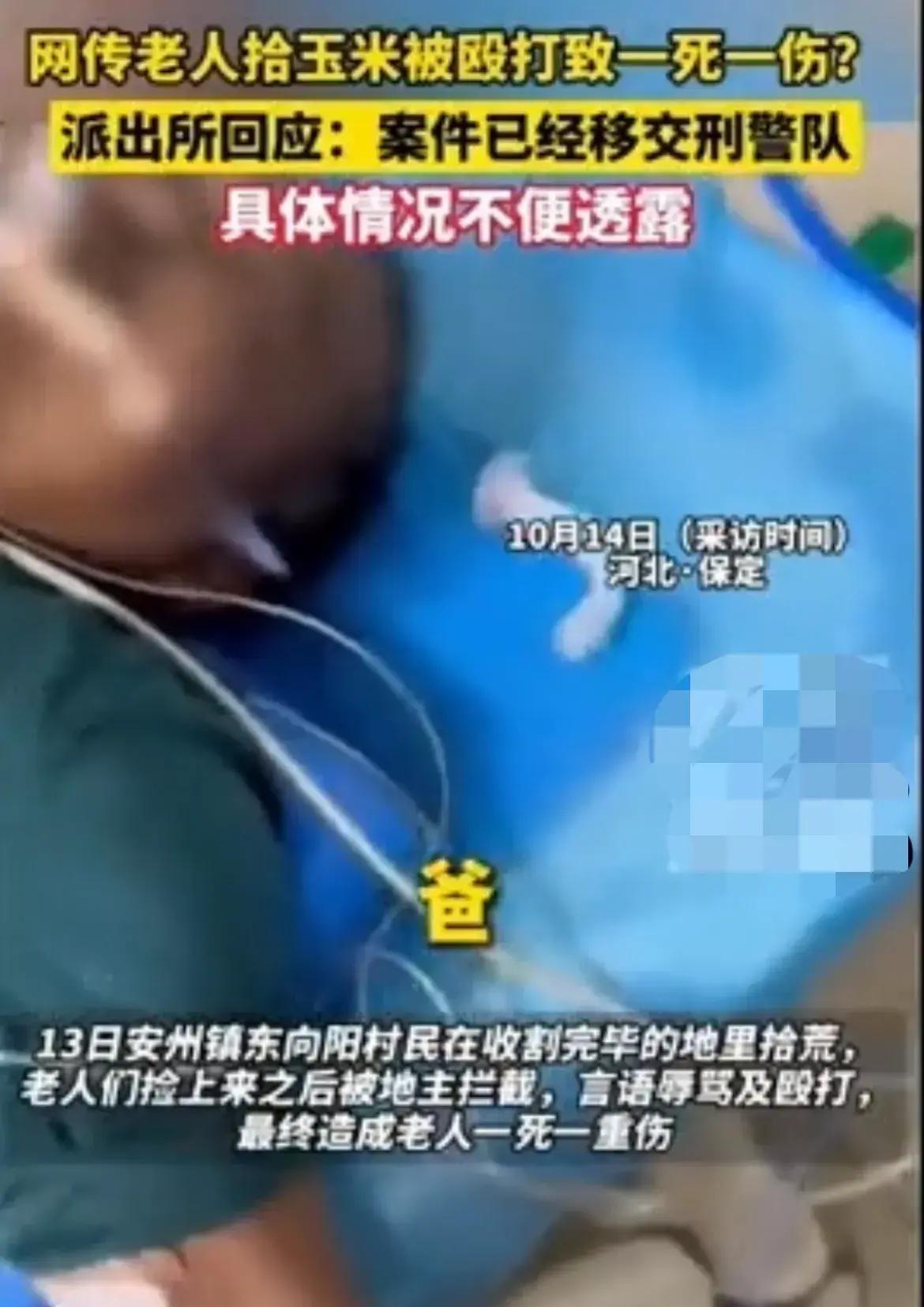 老人捡玉米遭殴打致死揭示农村生存困境与社会道德缺失