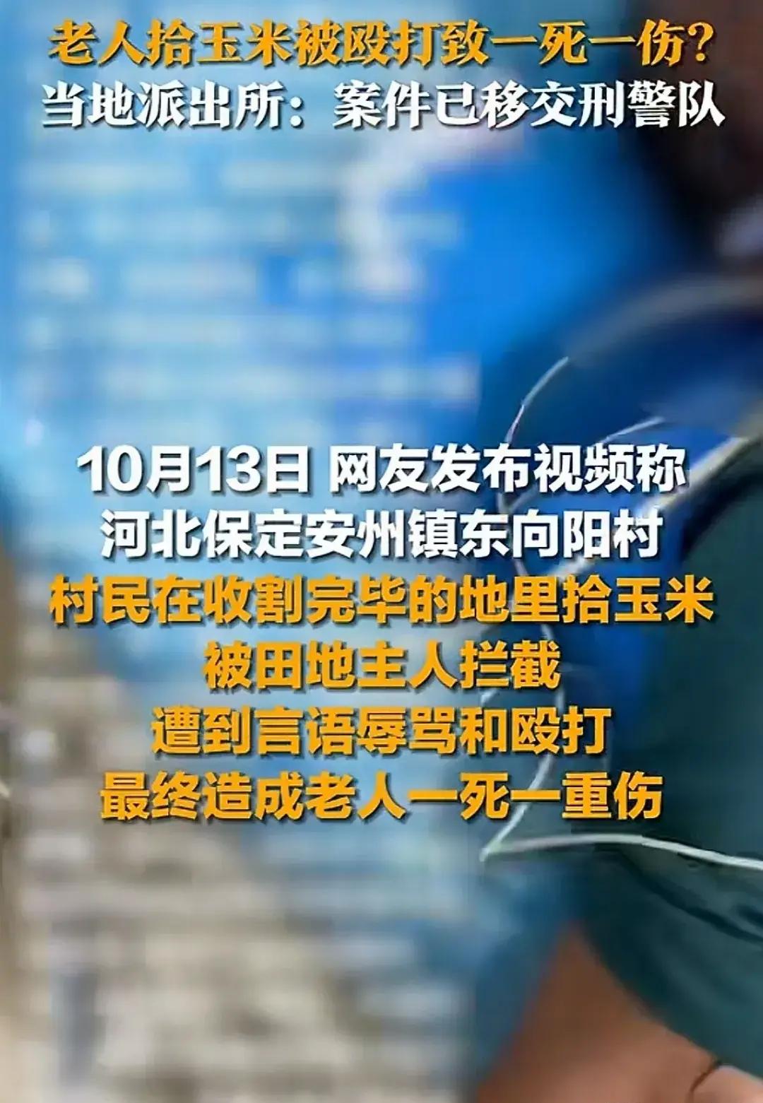 河北老人捡玉米遭殴打事件引发社会反思与法律探讨
