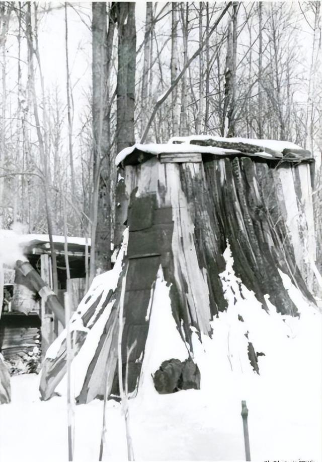 树桩房子:19世纪美国定居者的独特住宅