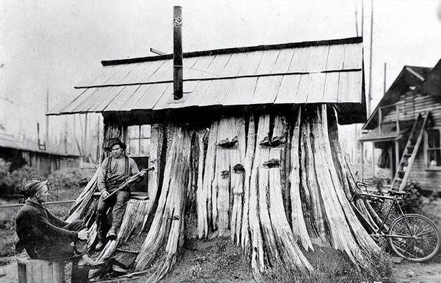 树桩房子:19世纪美国定居者的独特住宅