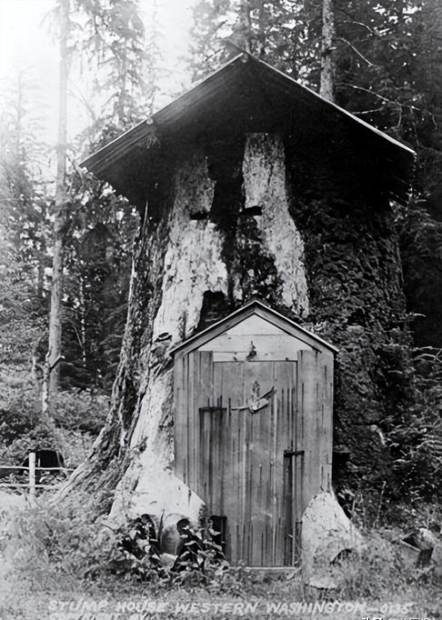 树桩房子:19世纪美国定居者的独特住宅