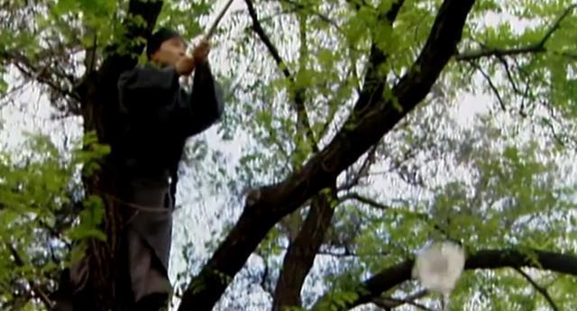 雍正的粘杆处到底是干什么的?贪官和 