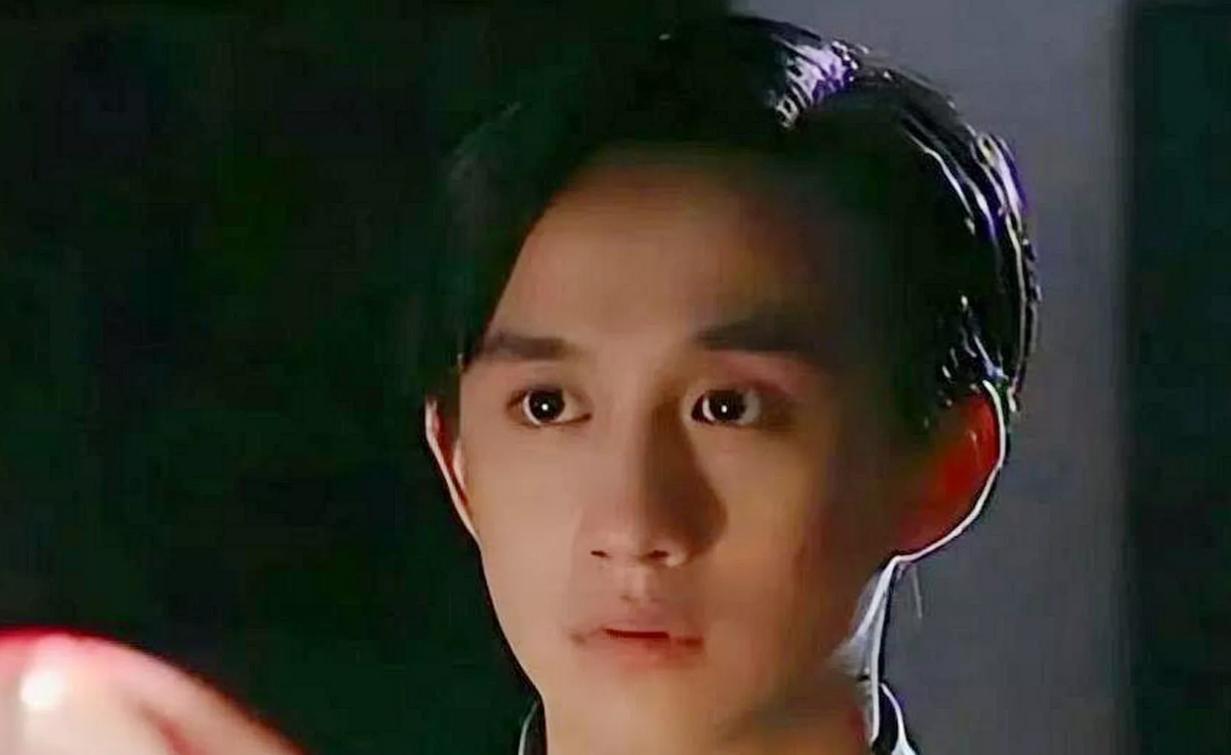 黄磊为什么那么聪明