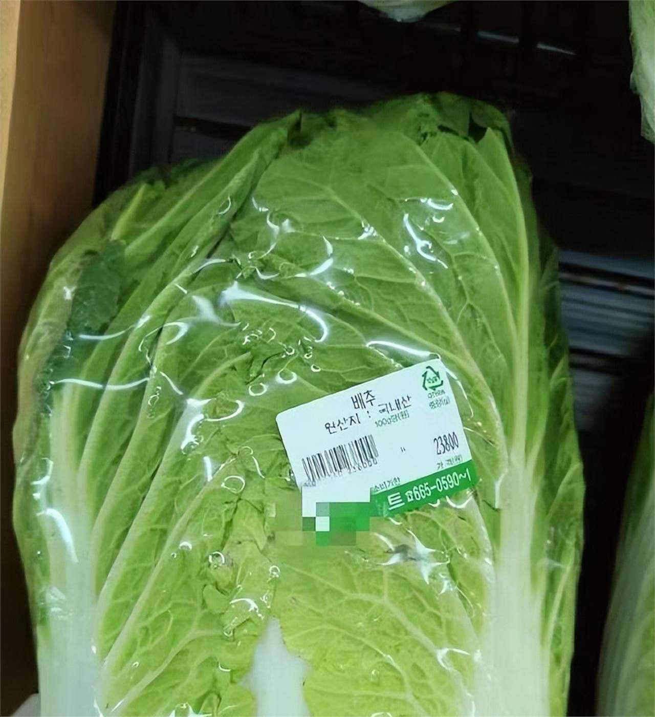天价大白菜
