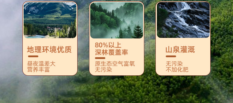 铁皮石斛和铁皮石斛价格一样吗