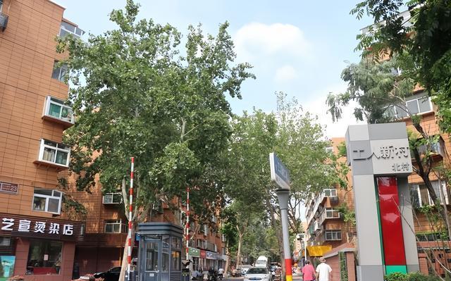 山东济南天桥区15个街道名称的来历,无影山街道药山街道北园街道