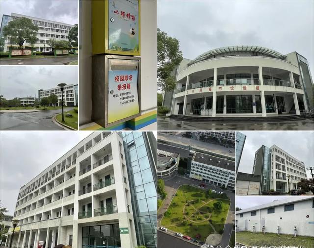 走过38年风雨:探访奉港中学的记忆与变迁