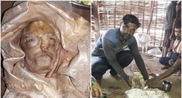 多次出现!印度独有的"人脸山羊",长相诡异活不长,怎么来的?