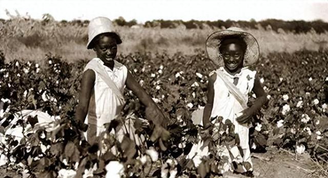 美国女黑奴的真实生活:白天采棉花,夜里遭强暴,过得惨无人道