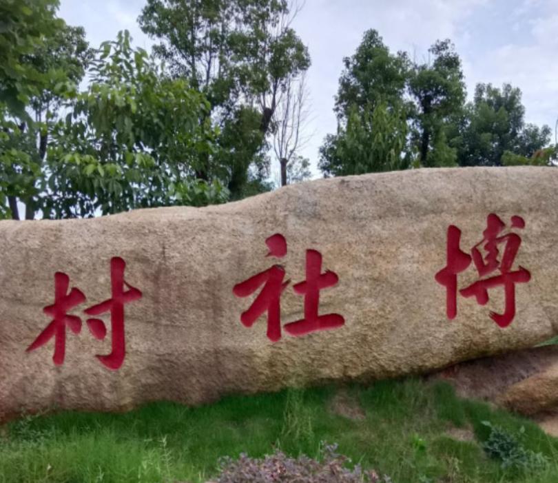 博社村的重生,冰毒教父的覆灭,阳光下的希望与奋进