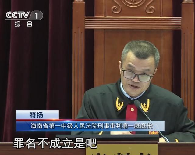 扫黑纪实:海南省黑老大黄鸿发,为抢生意杀人如麻,已判死刑