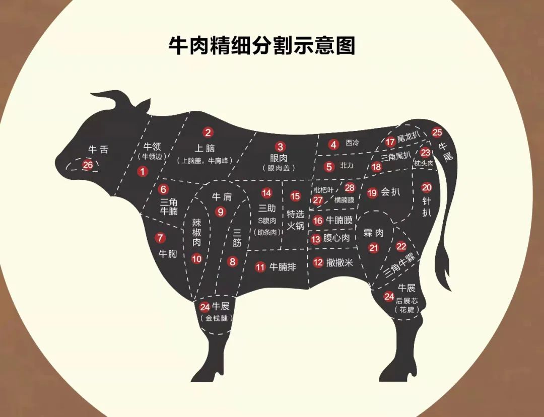 牛腩不同部位咋分辨?挑选攻略在此,不再怕买错!