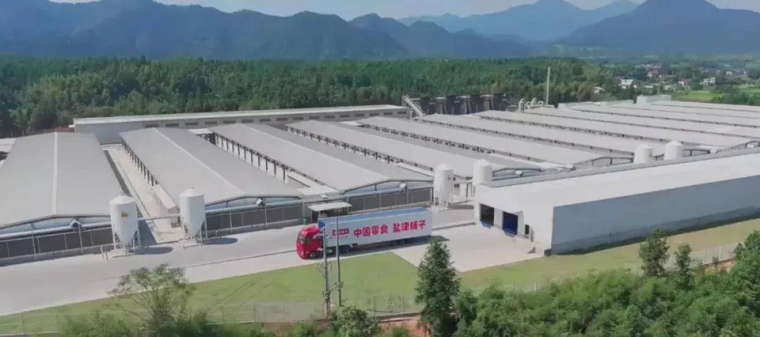 央视探厂盐津铺子,具像化看见中国零食的未来