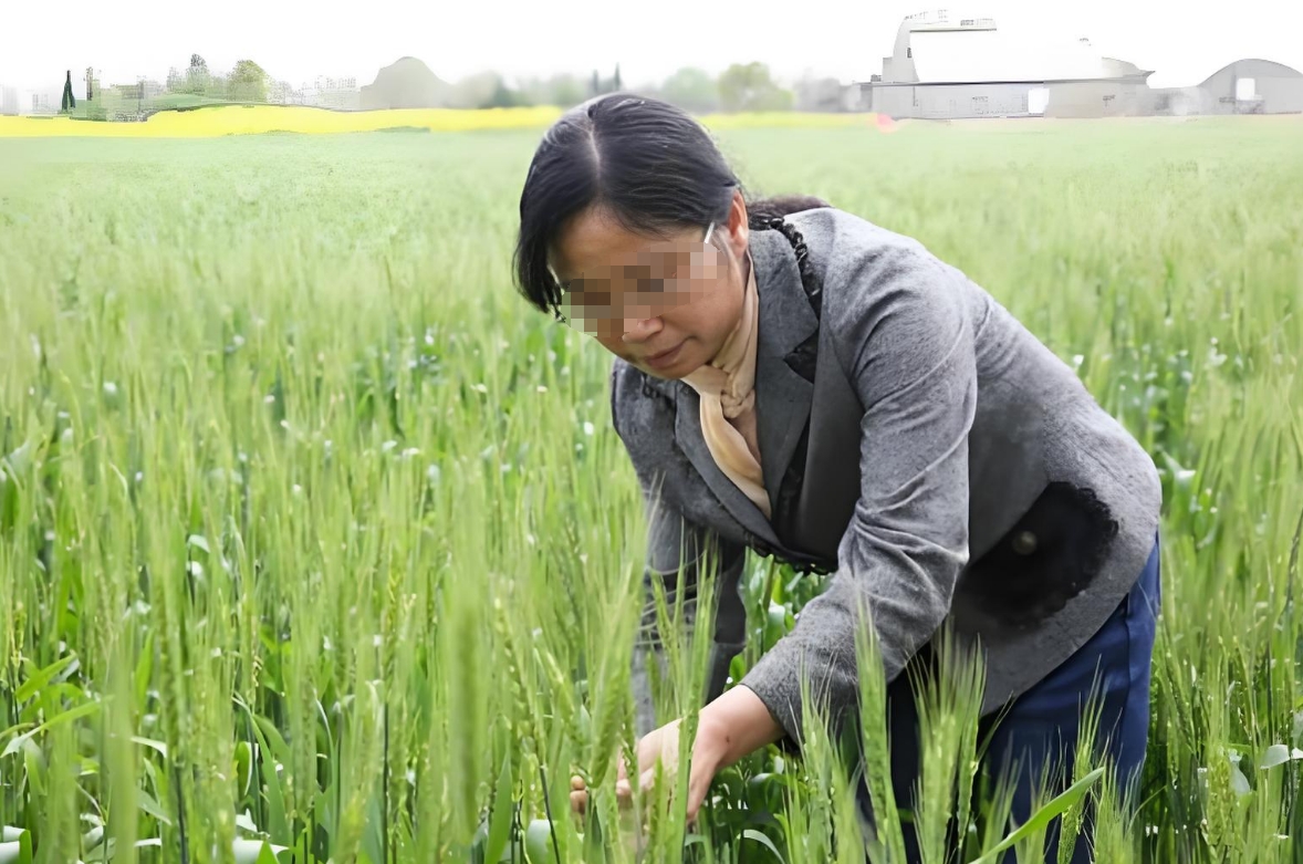 胰腺癌免疫治疗生物标志物的研究进展《肿瘤》 2024年44卷1期3,梁雅静