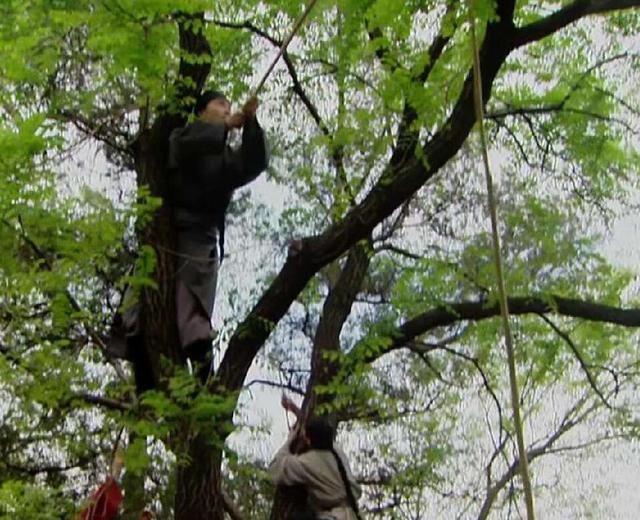 神秘的粘杆处,恐怖的血滴子,只是毫不起眼,身怀绝技的技勇太监