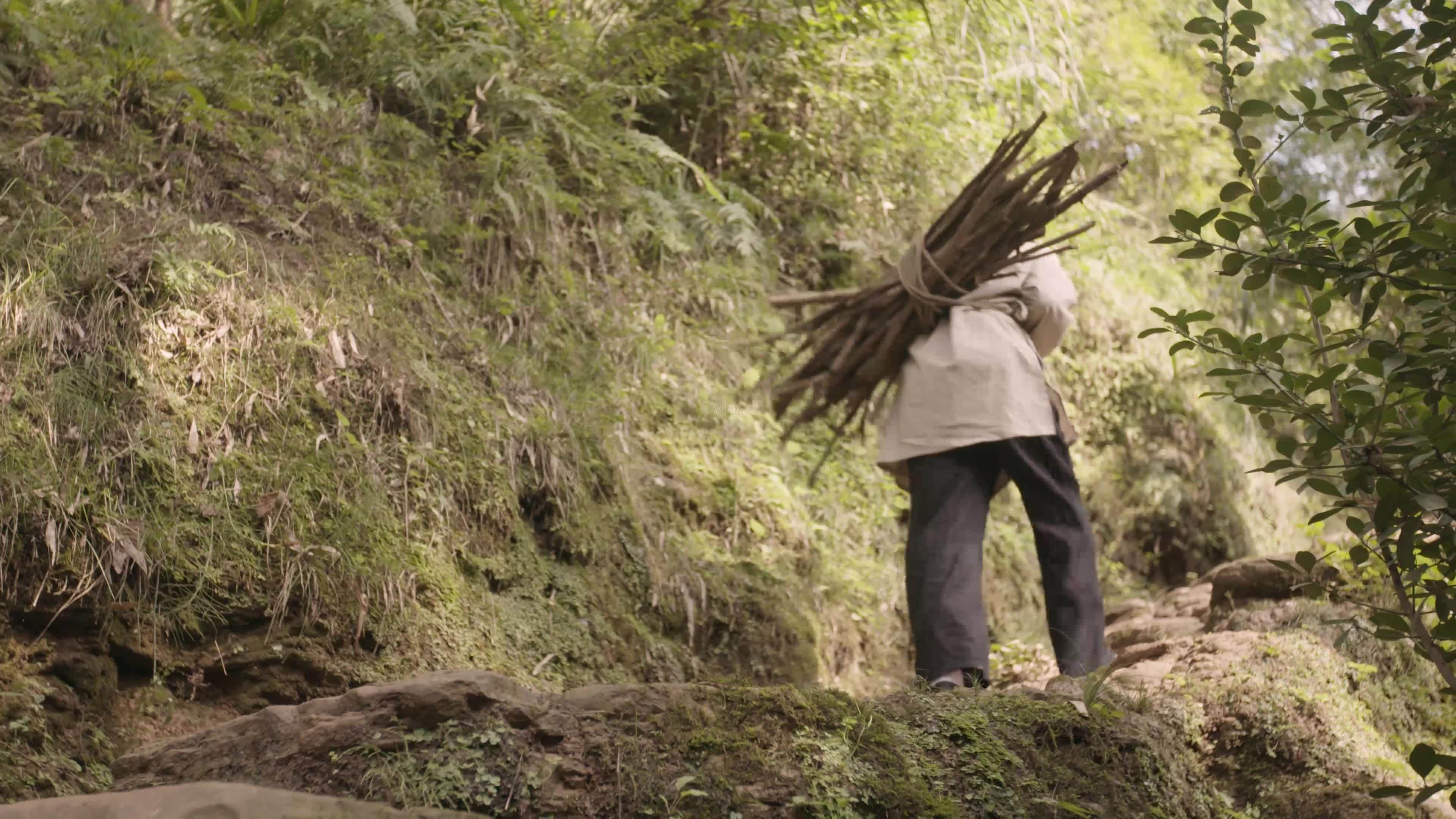 地藏佛指点:孩子如果出生在农历这4个月份,会上天眷顾富贵顺遂