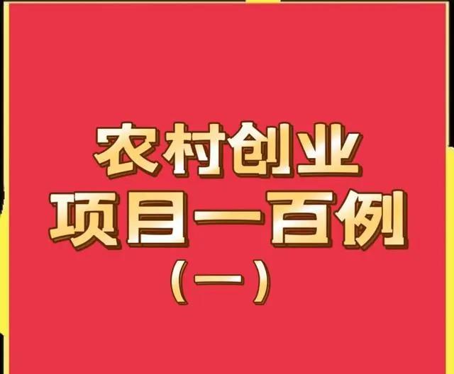 农村创业做什么好(农村创业做什么好种植和养殖哪个赚钱)