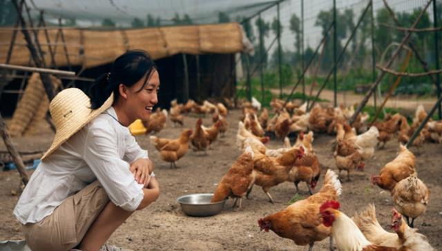 清华女博士石嫣,弃高薪当农民,又黑又瘦一手老茧,年入800万