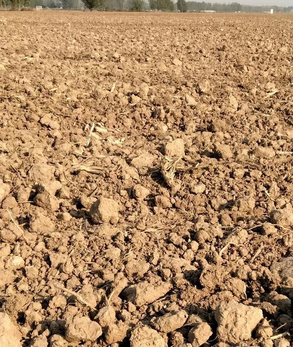 家乡的土地:黄泥巴的悲忧欢乐