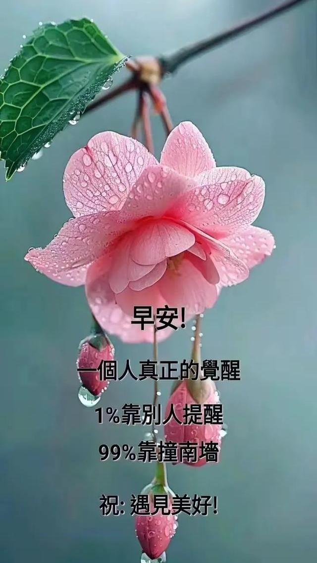 新版清晨早上好温馨祝福短信早上好图片大全祝愿新老朋友一切安好