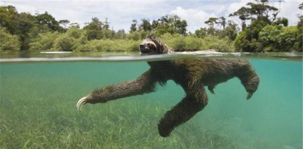 湖南河中出现"水猴子",手细长拖村民下水,真的在"找替身"?