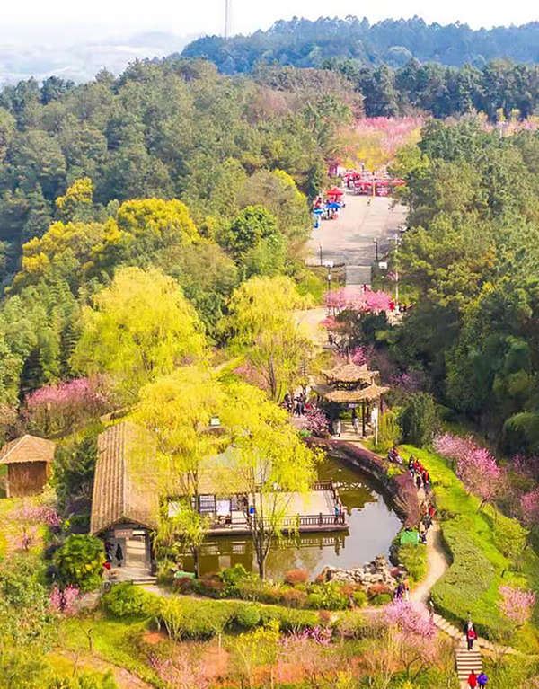 自贡附近景点排行榜(自贡周边旅游景点大全四川好玩的景点)