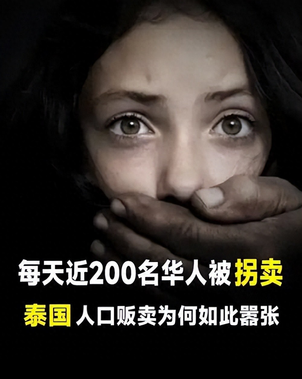 泰国成人口贩卖重灾区,王星失联引关注