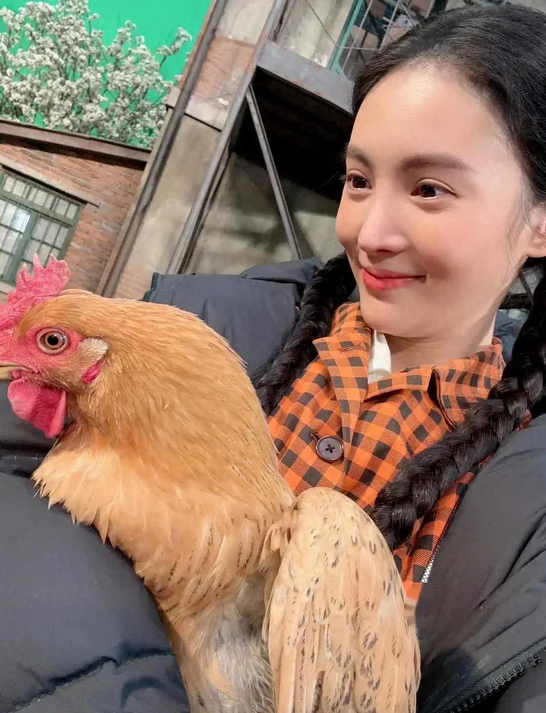 34岁金晨豪宅内养鸡当宠物主动打扫阳台卫生给鸡备营养餐