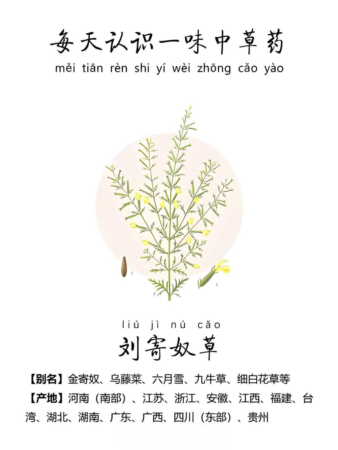 中国历史上唯一的神医皇帝不仅会做外科手术还有医书传世