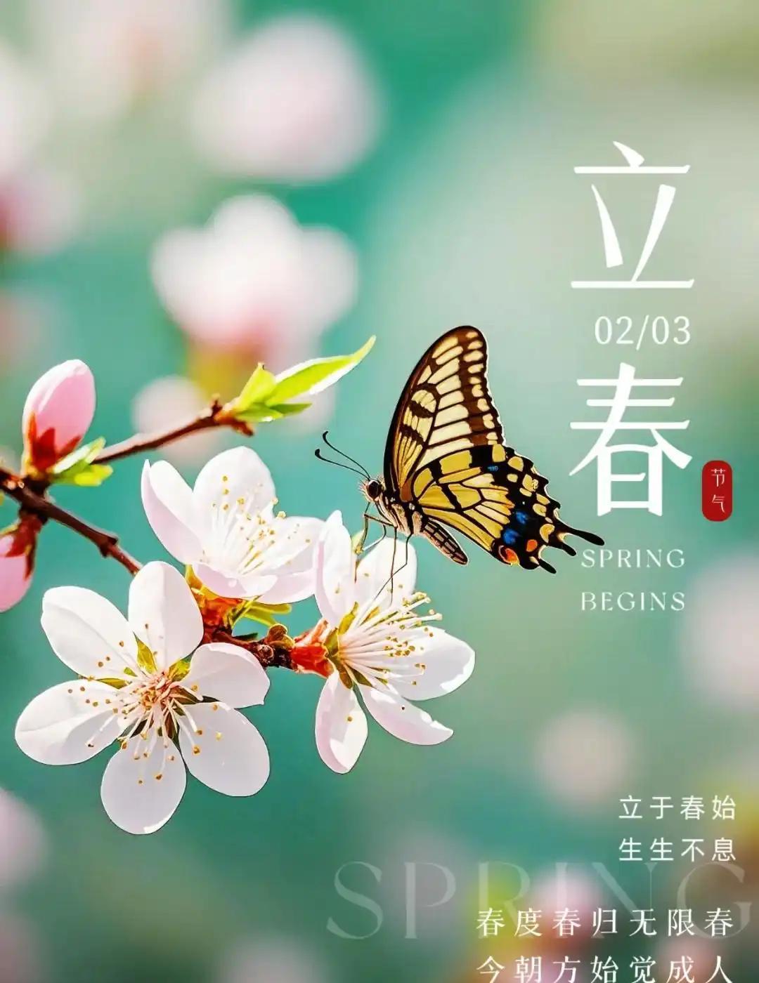 今日立春,立春节气精美的祝福语图片