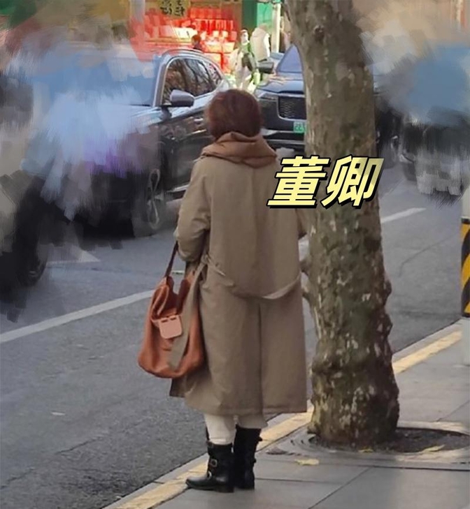 50岁董卿街拍惊艳!素颜长发美翻天,气质依旧碾压全场!